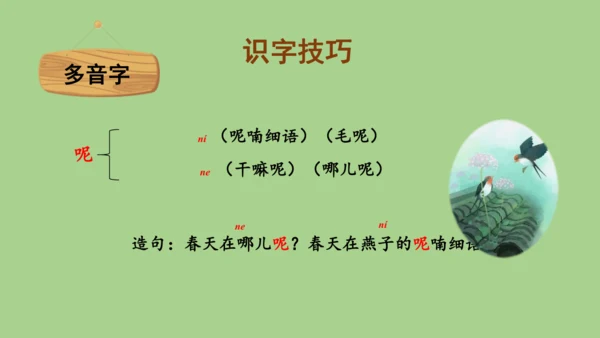21.《大自然的声音》 课件（2课时）