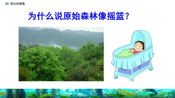 23祖先的摇篮（课件）