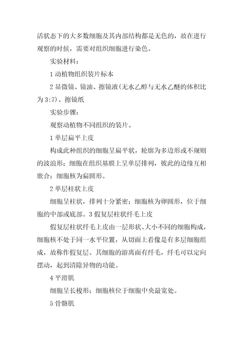 t淋巴细胞转化实验报告