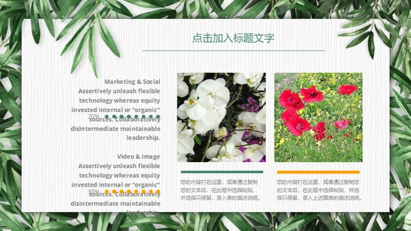 绿色环保慈善公益通用PPT模板