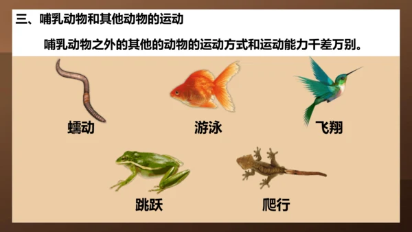 人教版生物八年级上册5.2.1《动物的运动》课件(共27张PPT)+视频素材