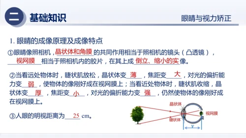 八年级物理上册同步精品课堂（人教版2024）第五章透镜及其应用（章末复习）（课件）34页ppt
