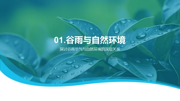 谷雨节气与环保