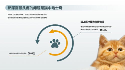 2023年喵经济洞察研究报告