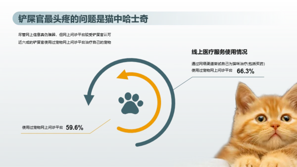 2023年喵经济洞察研究报告