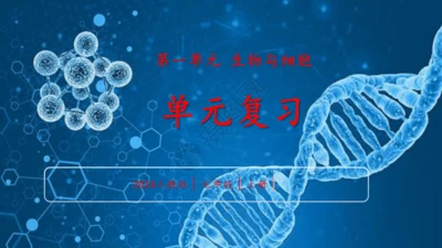 人教版生物七年级上册第一单元《生物与细胞》单元复习课件(共53张PPT)