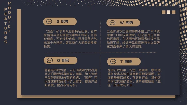 高端质感大气项目融资计划通用PPT模板