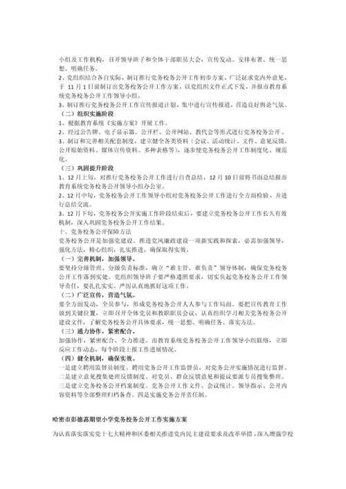 党务校务公开工作实施专业方案.docx