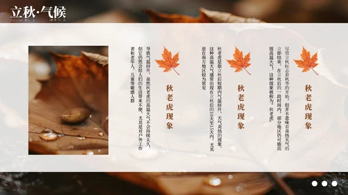 棕色简约商务立秋科普教学课件PPT模板