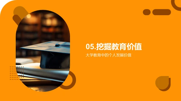 大学教育全景解析