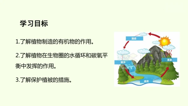 3.2.4植物在自然界中的作用-七年级生物下学期同步精品课件（2024人教版）(共27张PPT)