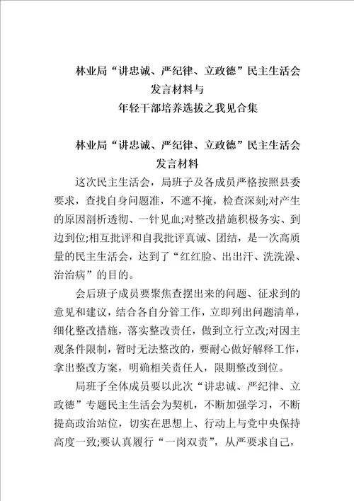 林业局“讲忠诚、严纪律、立政德民主生活会发言材料与