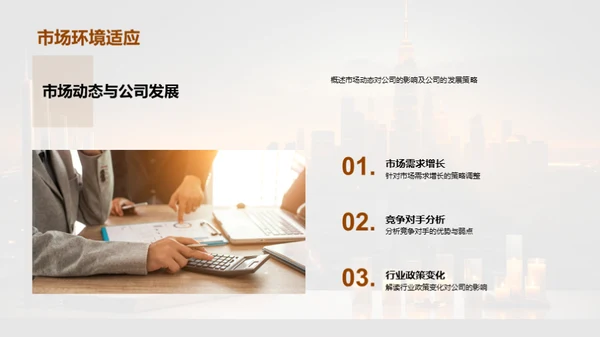 财务解析与未来展望
