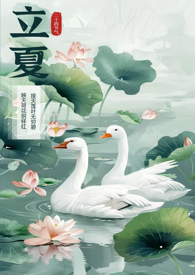 绿叶荷花立夏节气海报