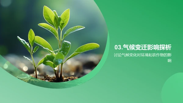 谷雨气候应变策略