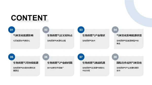 生物质燃气：挑战与机遇