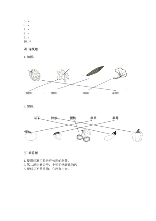 教科版一年级上册科学期末测试卷附参考答案（培优b卷）.docx