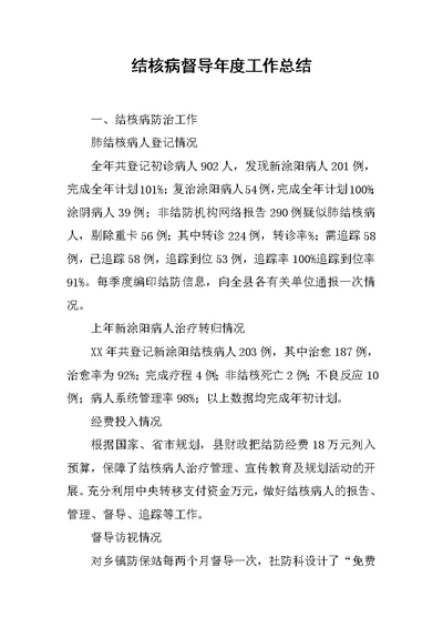 结核病督导年度工作总结