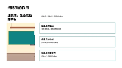 细胞科学讲解PPT模板