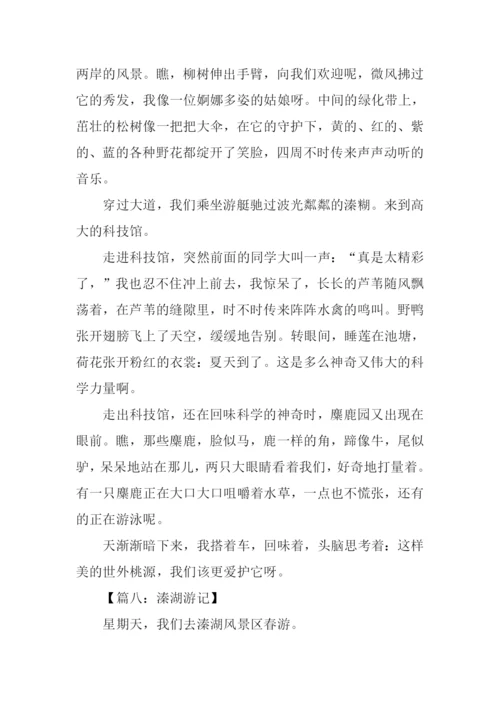 关于溱湖的作文.docx