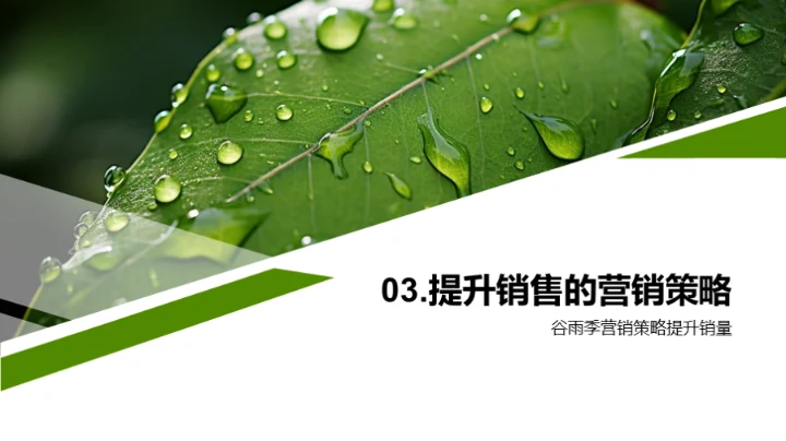 谷雨季营销策略探析