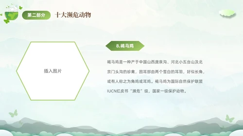 绿色清新剪纸风保护濒危动物拯救美好生命主题PPT世界动物日