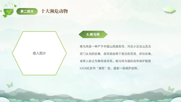 绿色清新剪纸风保护濒危动物拯救美好生命主题PPT世界动物日