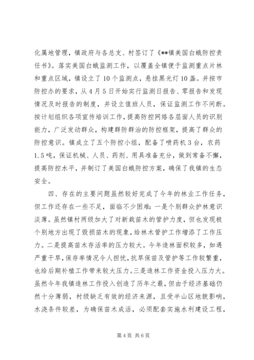 林果站年度工作总结和计划.docx