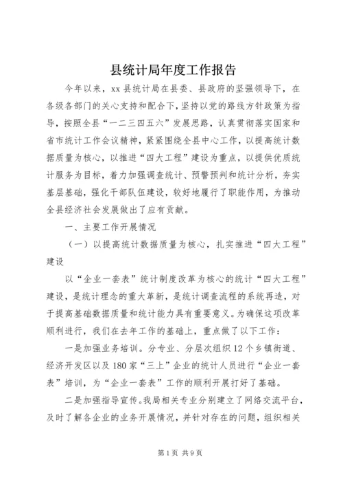 县统计局年度工作报告 (3).docx