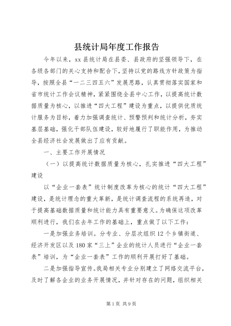 县统计局年度工作报告 (3).docx