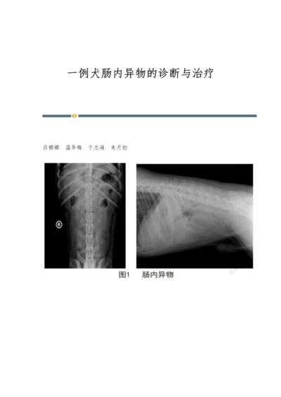 一例犬肠内异物的诊断与治疗.docx