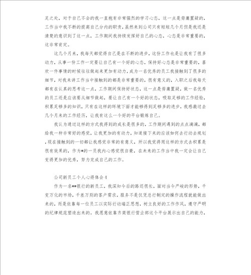 公司新员工个人心得体会五篇