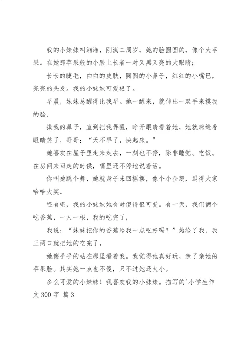 描写的小学生作文300字汇总5篇