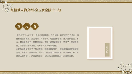 褐色复古中国风中国四大名著之红楼梦人物介绍PPT