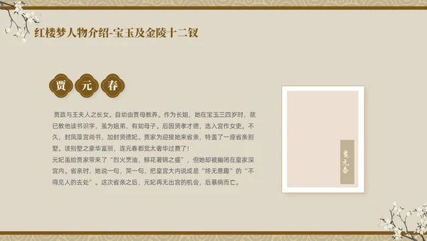 褐色复古中国风中国四大名著之红楼梦人物介绍PPT