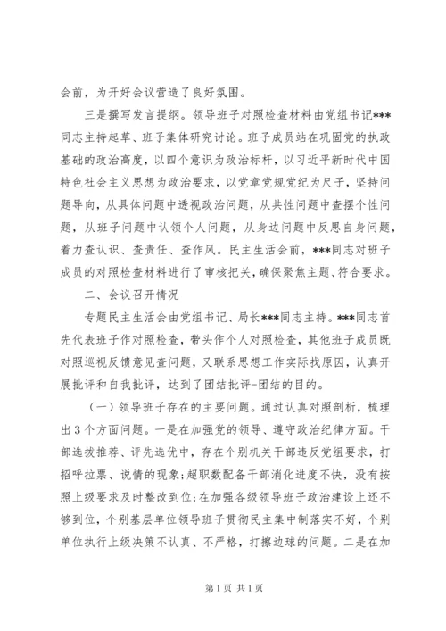 巡视整改专题民主生活会情况报告.docx