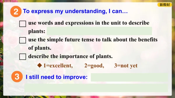 Unit 6 The power of plants Presenting ideas 课件 外研版