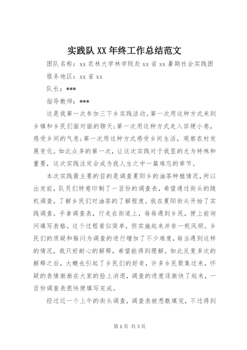 实践队某年终工作总结范文.docx