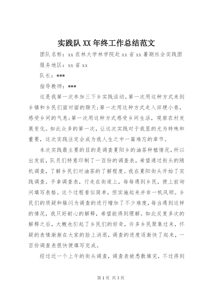 实践队某年终工作总结范文.docx
