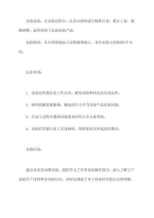 劳动课实验报告