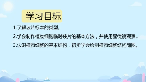 人教版（2024）七年级上册1.2.1 植物细胞 课件(共34张PPT)