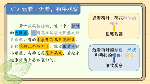 统编版语文三年级下册2024-2025学年度第一单元习作：我的植物朋友（课件）