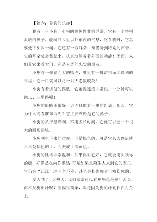 养狗的乐趣作文500字.docx