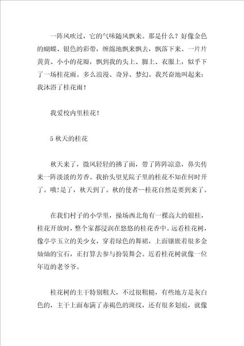 描绘桂花的作文