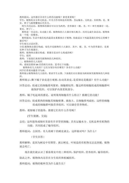 植物体结构层次教案