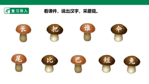 部编1A 第6单元 第6课 比尾巴（2）课件