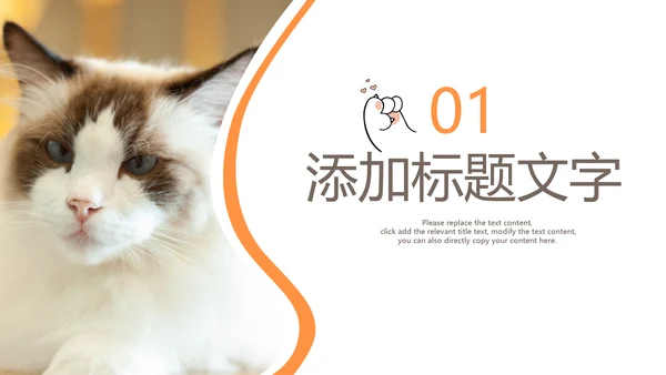 简约风宠物店商业计划书爱宠猫咪PPT模板