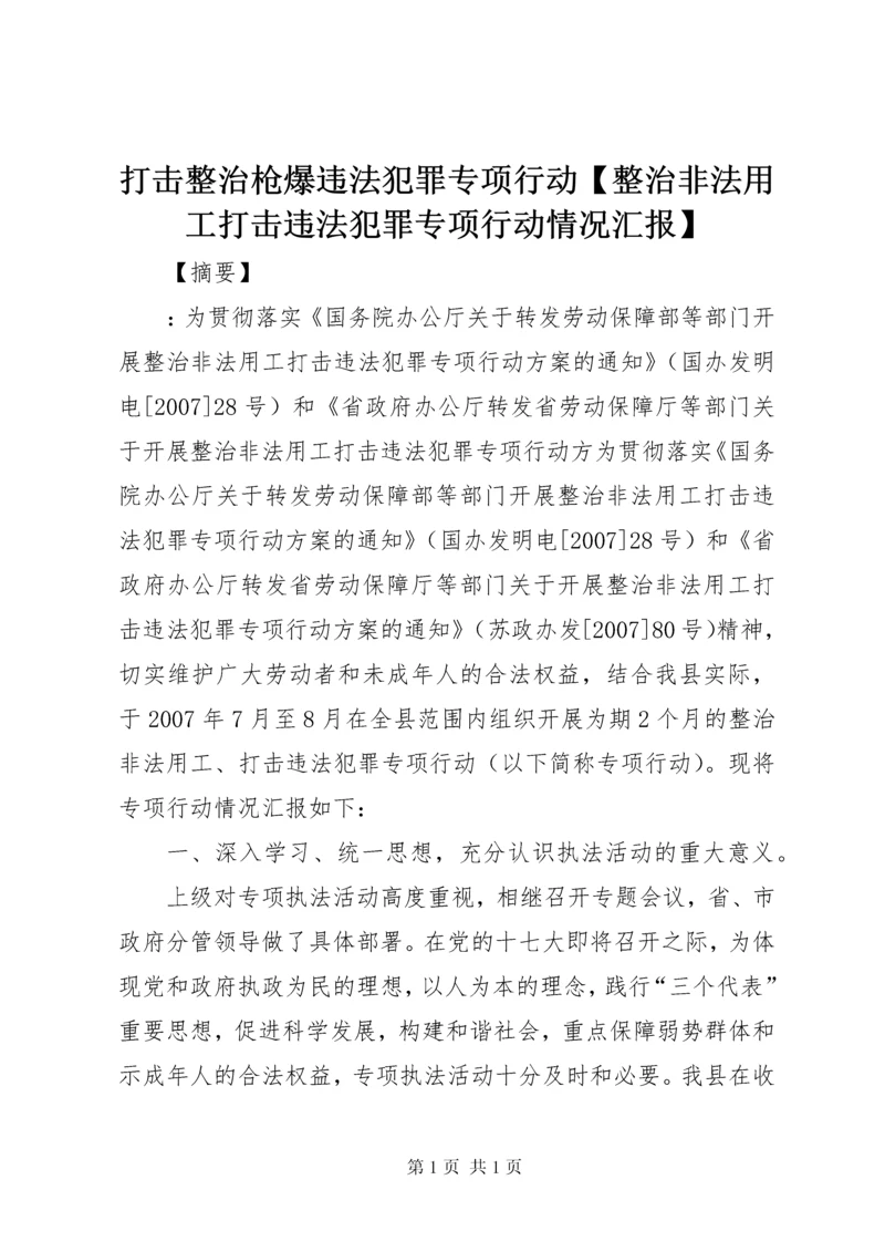 打击整治枪爆违法犯罪专项行动【整治非法用工打击违法犯罪专项行动情况汇报】.docx