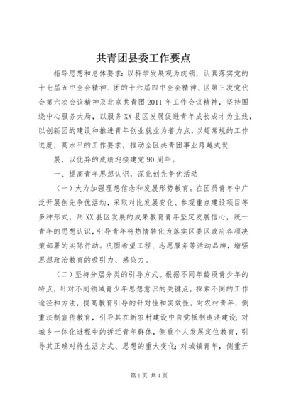 共青团县委工作要点 (2).docx