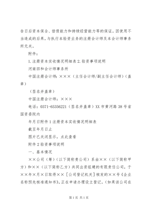 新成立公司验资报告(共8篇) (2).docx